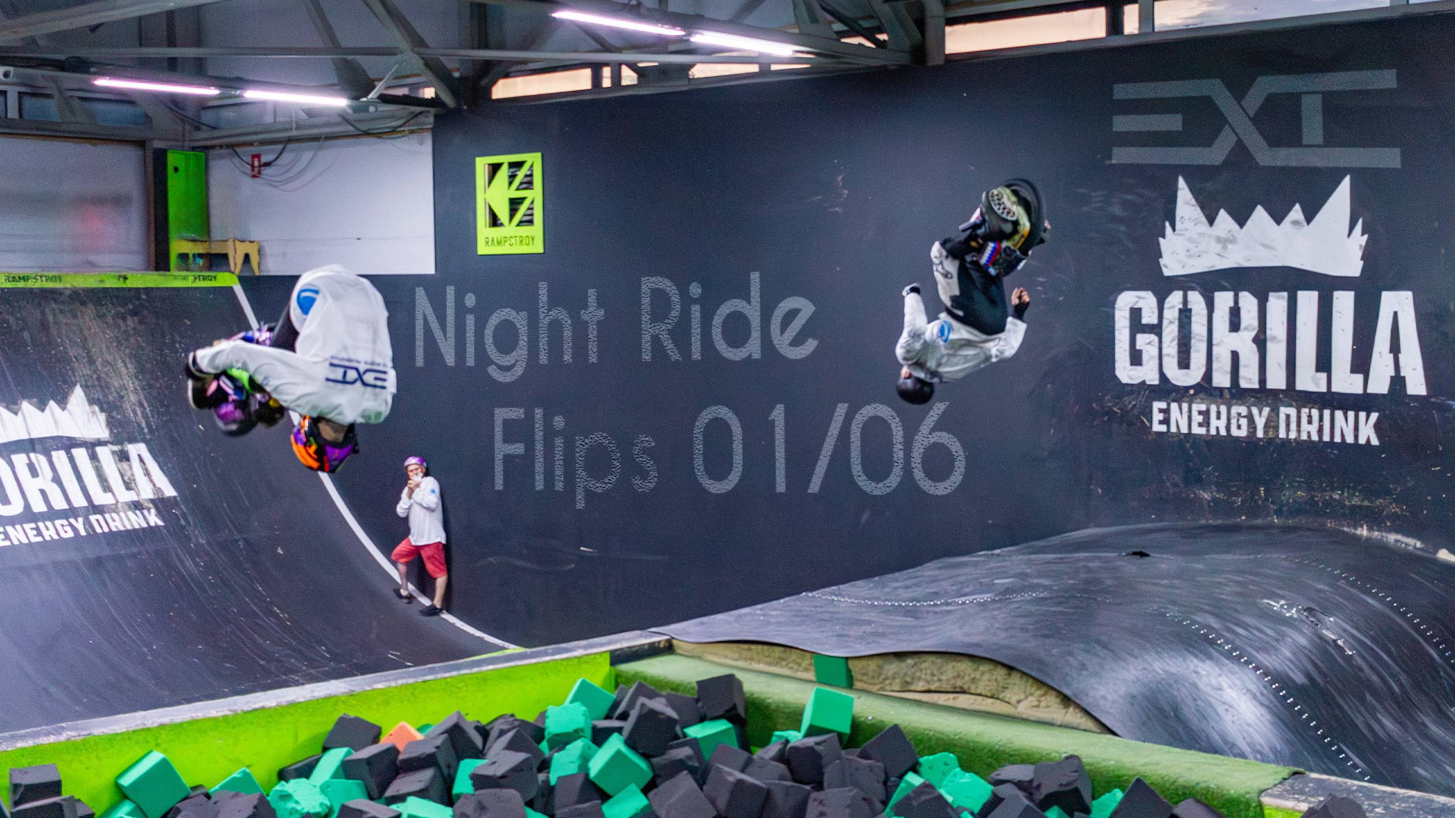 FLIPS NR 01.06