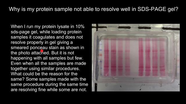 Why protein sample is not able to resolve well in SDS-PAGE gel?