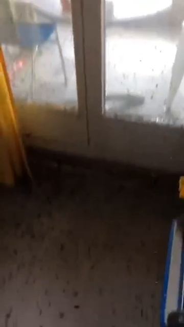 Крайне неприятные кадры...