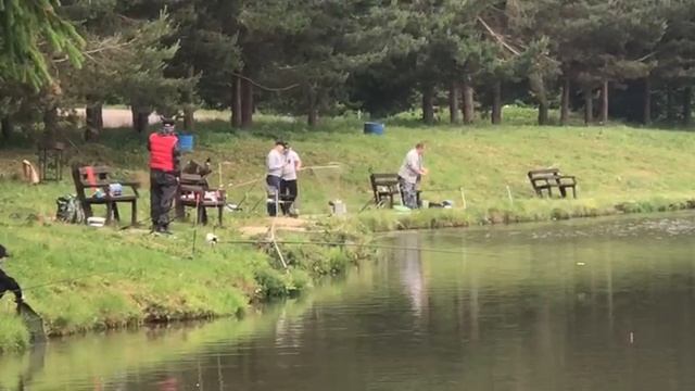 поимка карпа на большом водоёме