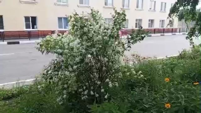 1000008276.mp4