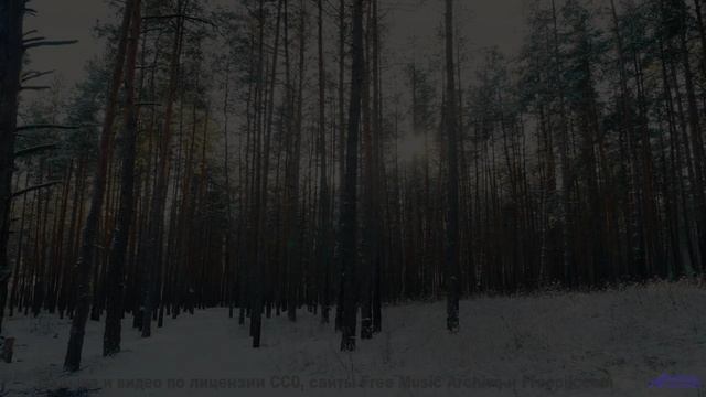 Почему волны здесь звучат как голоса - TLC + THC -- Tadz -- Soul Symphonies Vol.1