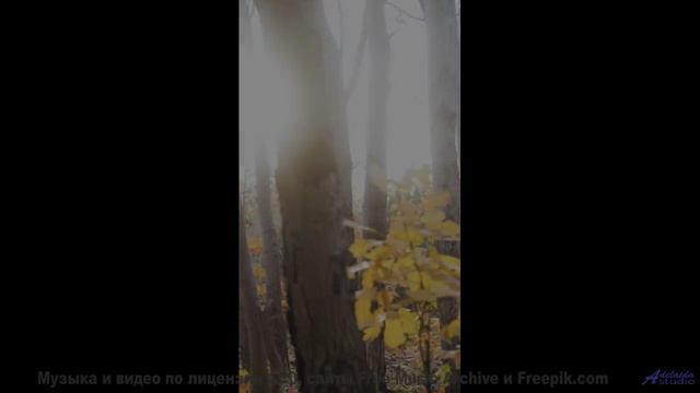 Идеальный саундтрек для вашего самого романтичного вечера! - Dance -- Kirk Osamayo -- Season Two (PU