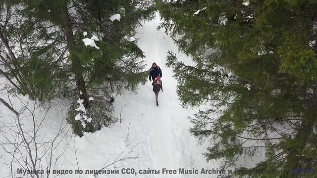 Лес, который ЗАПОМИНАЕТ каждого! - feel like drugs -- Vincent Augustus -- Bad People Make Good Music