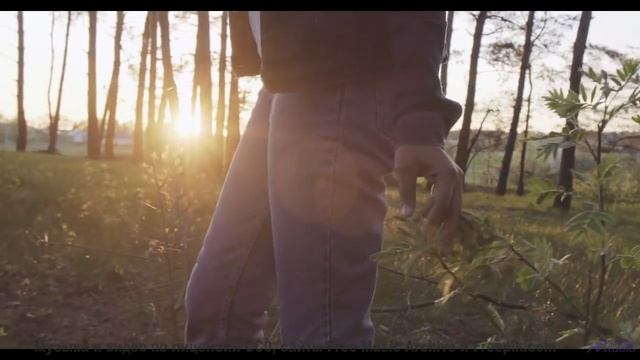 Музыка, под которую даже кактусы пускаются в пляс! - Shes The Greatest Dancer -- Ryan Andersen -- MO