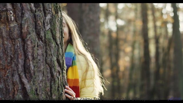 Эти пейзажи заряжают, а музыка - взрывает! - Hot Chip -- Podington Bear -- Homage Fromage (Box Set D