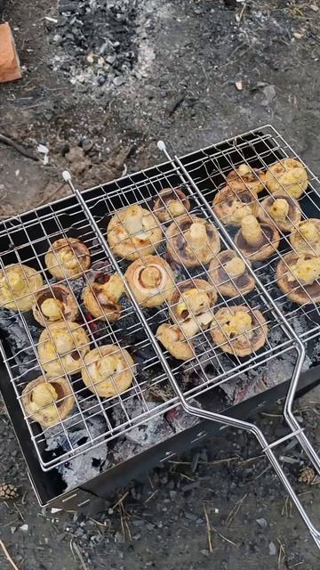 Сезон открыт ⚽️ #блог #семья #друзья #природа #отдых #blog #family #friends #nature #weekend