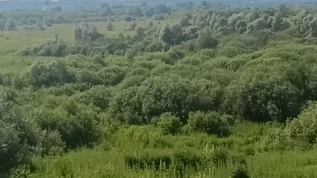 Простор, чудесное небо, вид на Храм   Николая Чудотворца. Село Николо- Березовка.