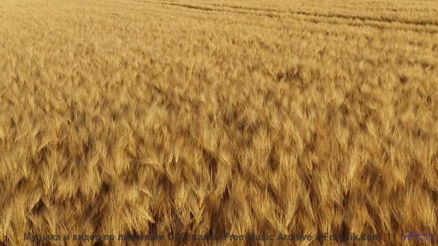Эта музыка - воздух для гор! - I Hear Echoes -- Ketsa -- Light Rising