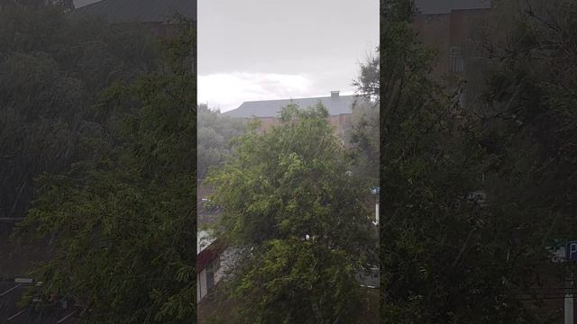 1000052592.mp4