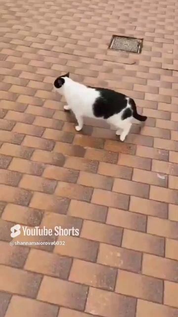 Встреча😆