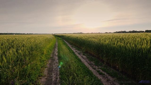 Музыка для симбиоза человека и ИИ - следующий шаг эволюции! - Acceptance And Desperation -- Kirk Osa