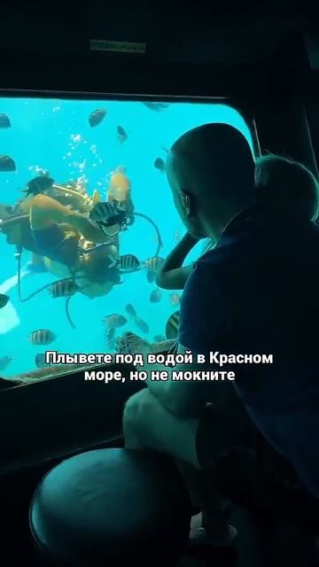 Едешь с ребёнком в Египет? Смотри!