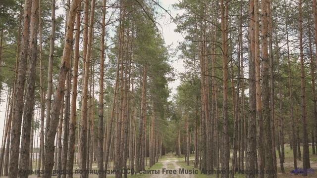 Дикие звери и дикий вайб! - On Sale -- Golden Duck Orchestra -- Golden Duck Orchestra 1st EP