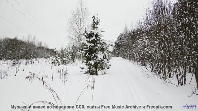 Деревья, которые ШЕПЧУТ твоё имя. - Gone Is The Way -- Derek Clegg -- Old Town Worry
