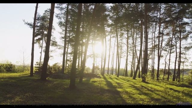 Когда пляж становится сценой, а волны - зрителями! - Cest La Vie -- Duncan Reid and the Big Heads --