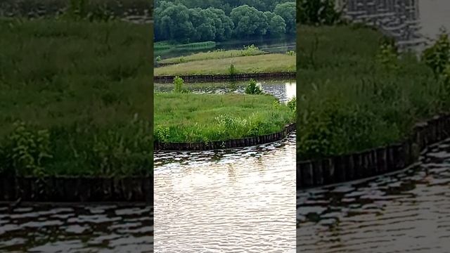 1000019429.mp4