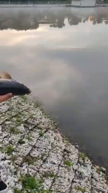 1000071913.mp4
