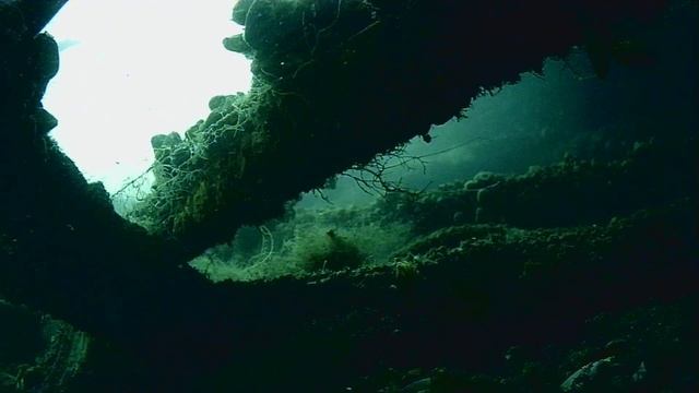 1000044570.mp4Волга гл.5м 12.06.2025г.