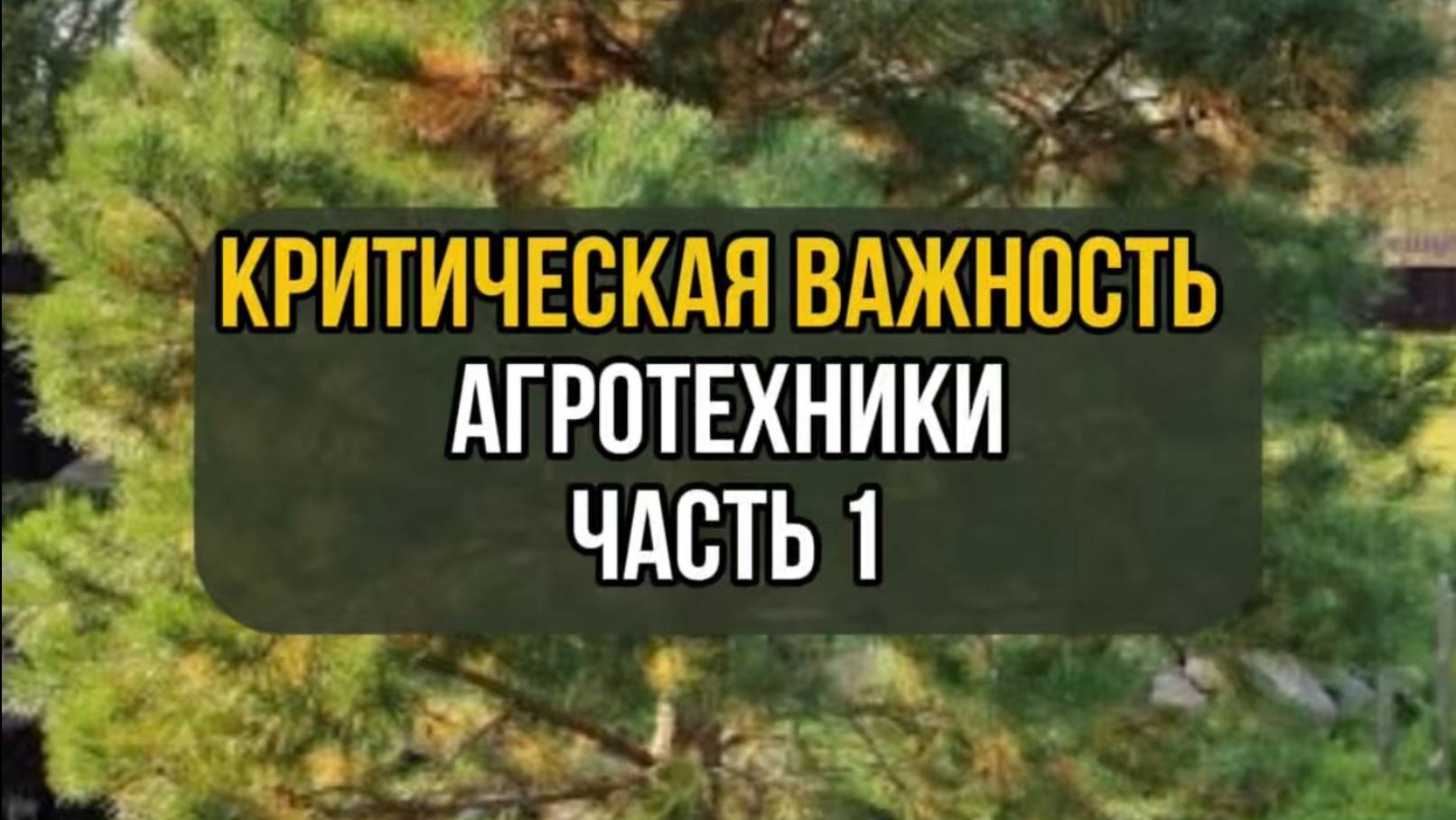 Критическая важность агротехники. Часть 1