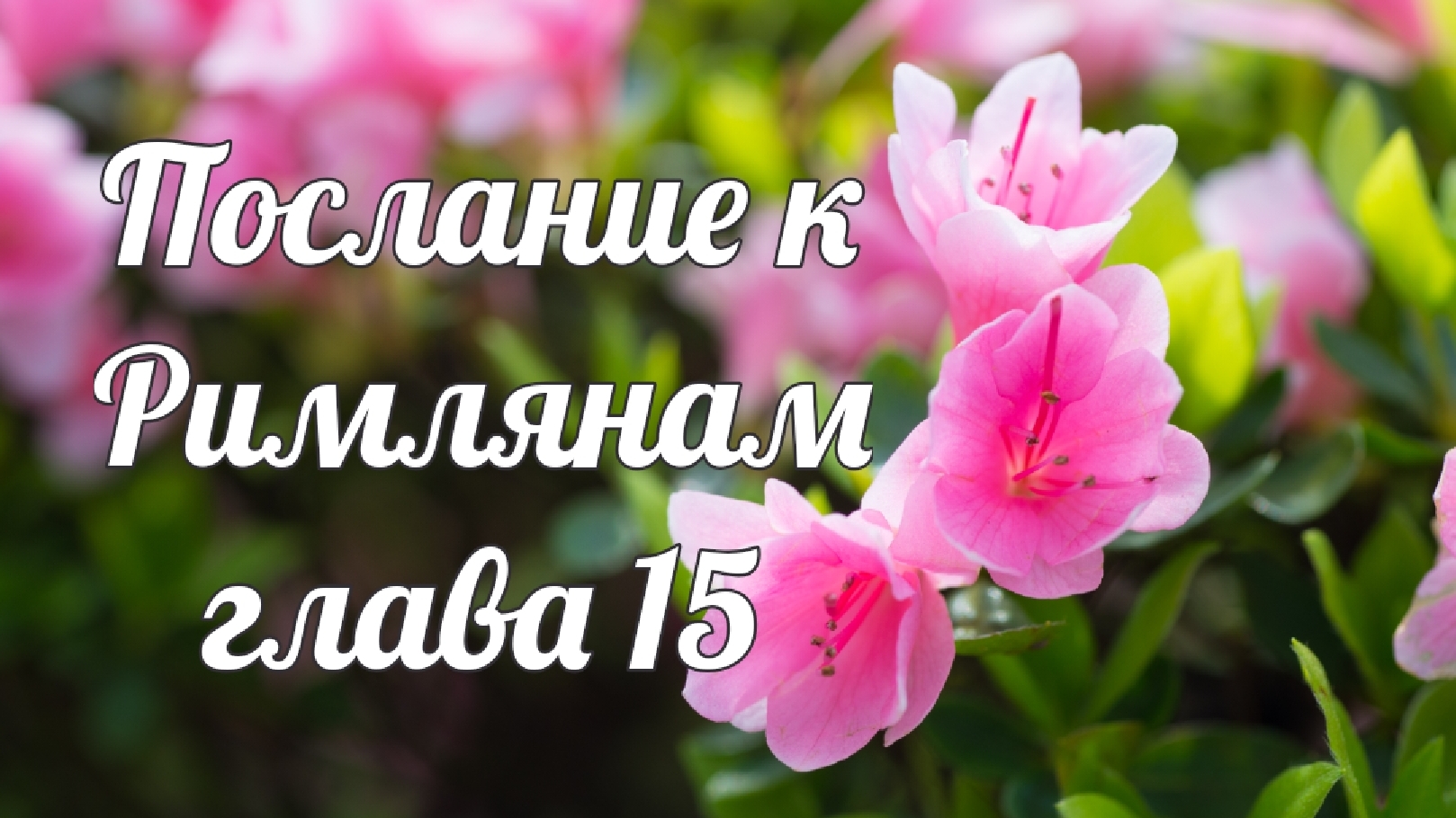 Послание к Римлянам глава 15