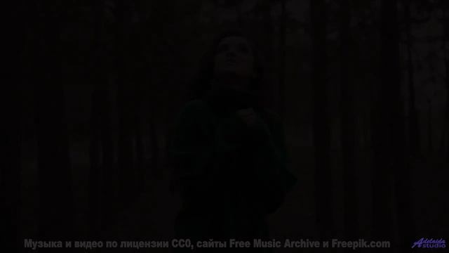 Готовы к адреналину Включайте и летите! - A Play on Words -- Les Hayden -- Home