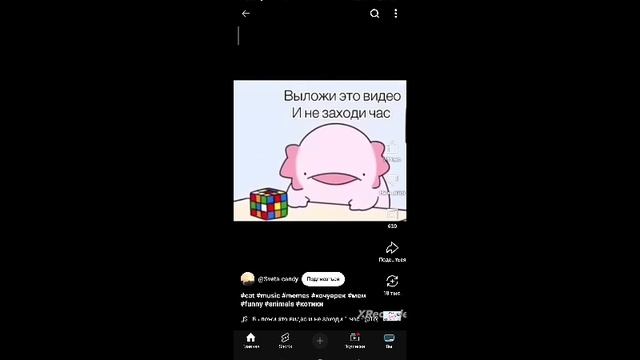 аксолотль