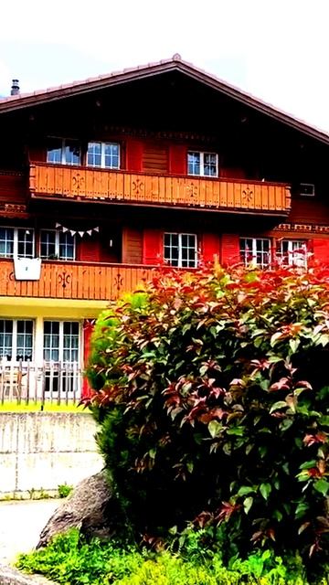 Камера не прощает