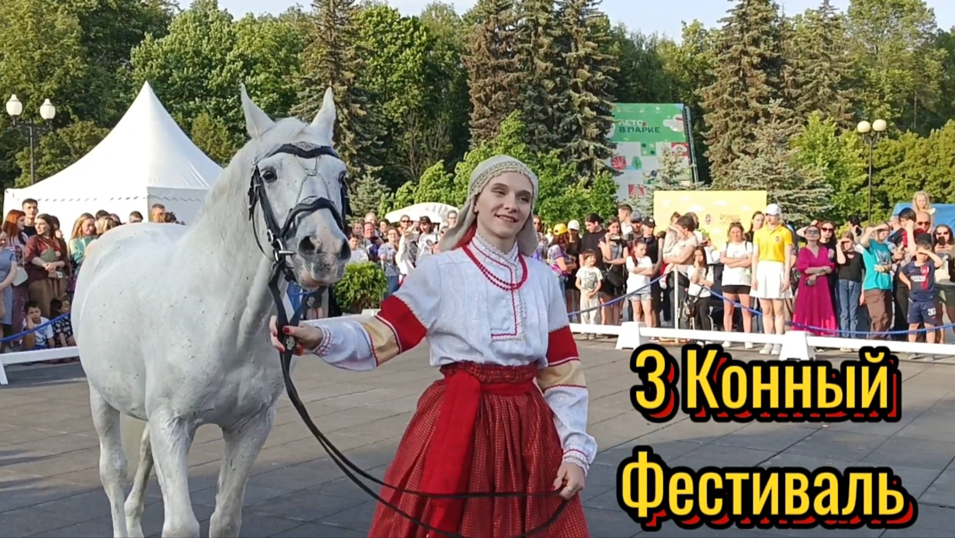 3 Конный фестиваль в Измайловском парке