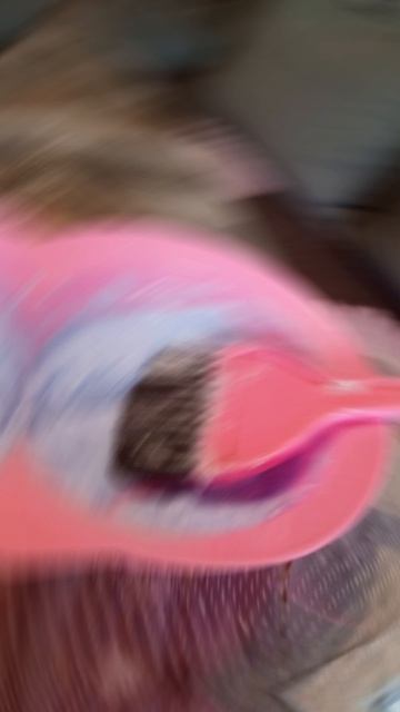 бели