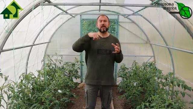 Чего не хватает томатам КАЛИЯ или КАЛЬЦИЯ Разбираемся в хитростях подкормок. Кальций для растений.