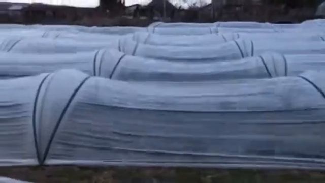 Ветер был сильный)