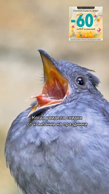 "Чёрная пятница" среди лета