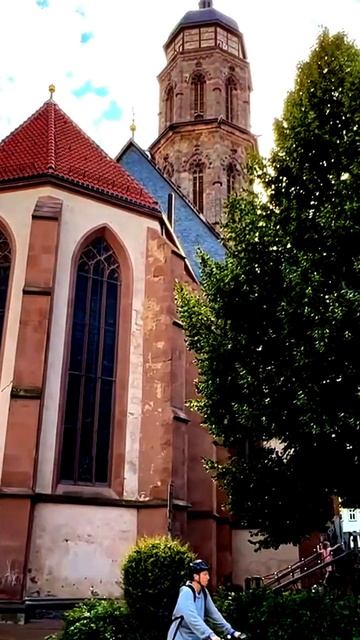 Камера запечатлела правду