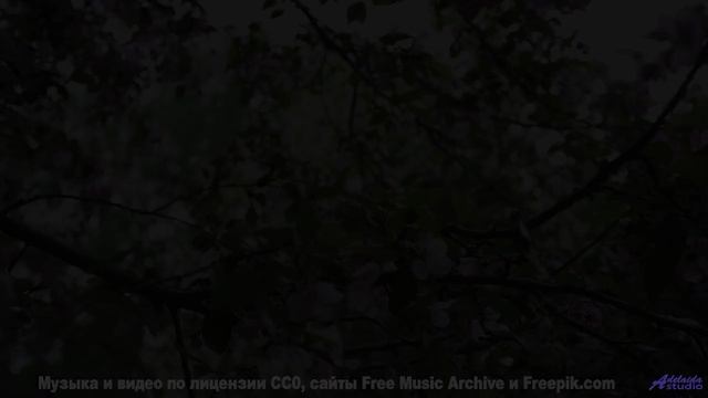 Скорость, ветер и ритм! - Tribal-Bible -- Ketsa -- Unified Division