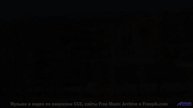 Музыка для квантовых компьютеров - услышьте будущее вычислений! - Copout -- Pudge -- Chippy Peas