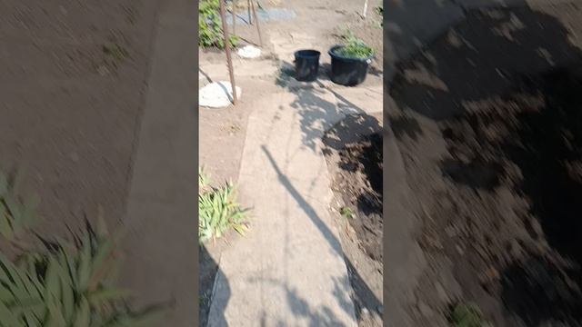 1000000274.mp4