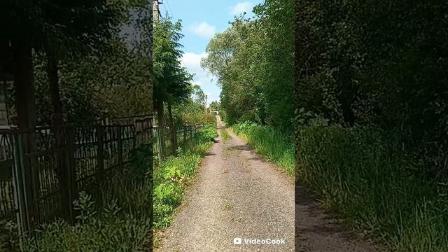 12-06-2025 Жизнь в деревне. СНТ в дали от цивилизации .Обзор vlog .