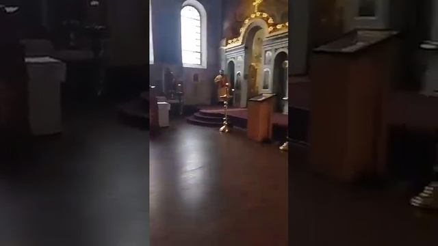 videoplayback (60)