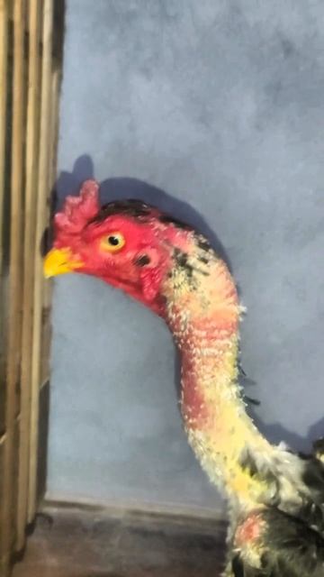 на продажу