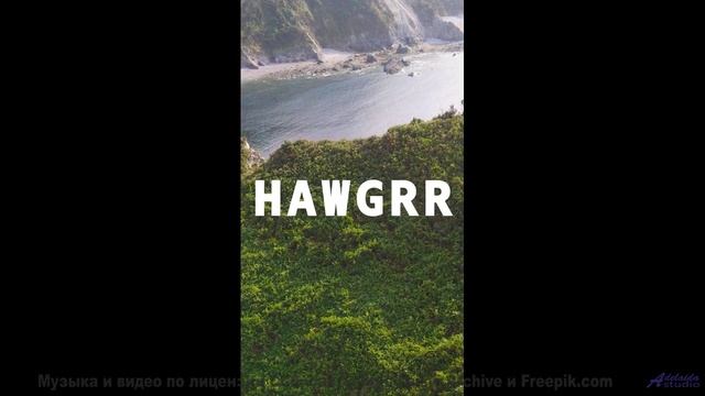 Что на самом деле происходит в этом лесу Это невероятно! - Sugar High -- Rotor Perdition -- Rotor Pe