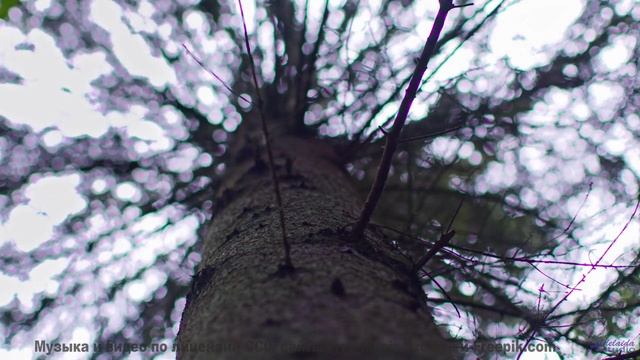 Этот саундтрек - как бриз, который касается вашей души! - Oxford Movement -- One Man Book -- But Fir