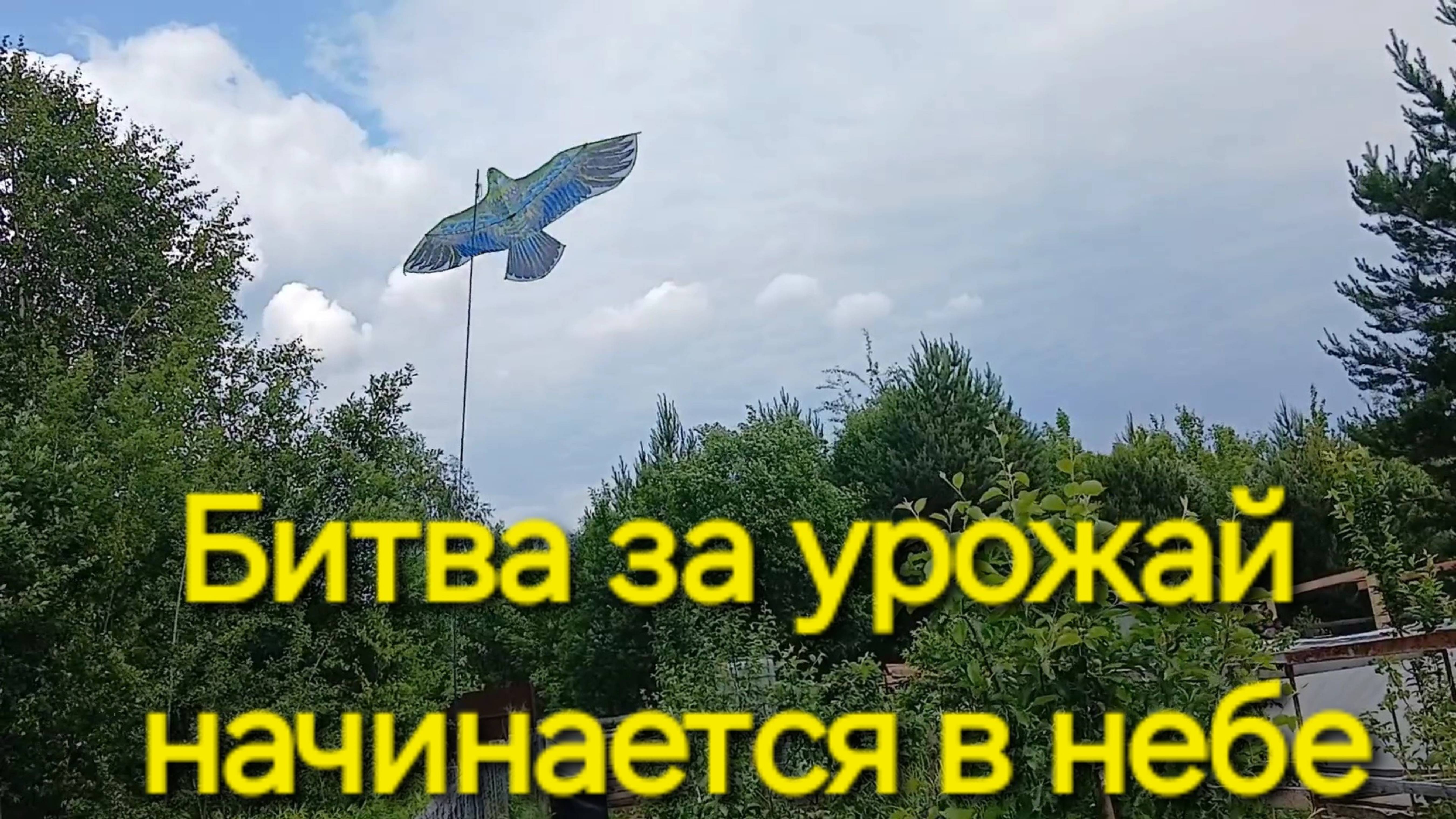 Воздушные змеи на страже вашего огорода. С ними можете быть спокойны за урожай.