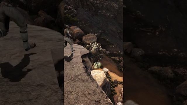 Когда ты не прикосаемый-ARK Survival Evolved