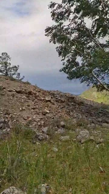 Стихия Алтая: Порывистый ветер ⛰️ | АлтайТурМаркет