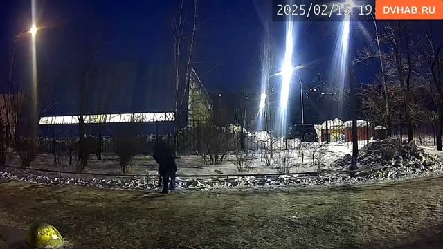 Похождения соседа-агрессора: полиция проводит проверку из-за прогулок с арбалетом