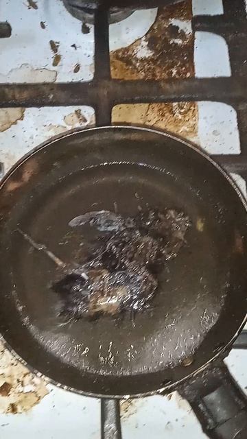 приготовления птицы с дороги