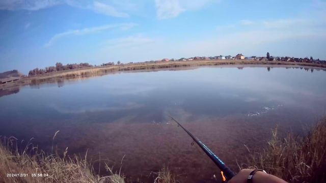 Немного порыбачил на Старице🎣 Ловил карасика на поплавок🎣 Прикормил своей прикормкой.