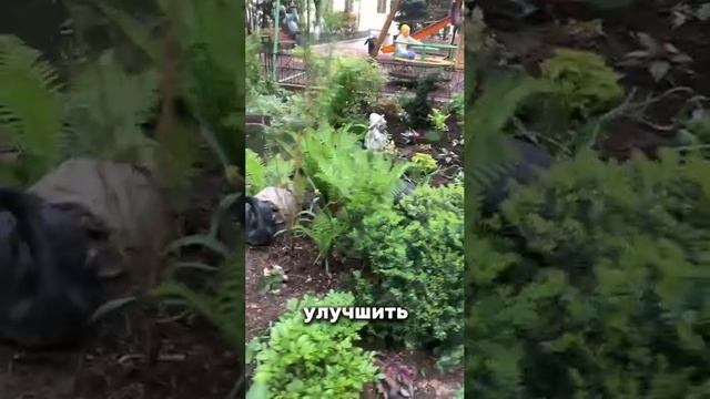 Молитва Ангелам-Хранителям #утренняя молитва, #молитва ангелу-хранителю, #молитва на каждый день #
