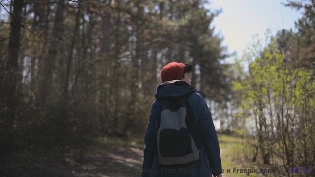 Закаты горят ярче, когда фон заполняет этот трек - Shining -- Ketsa -- Through to Fall